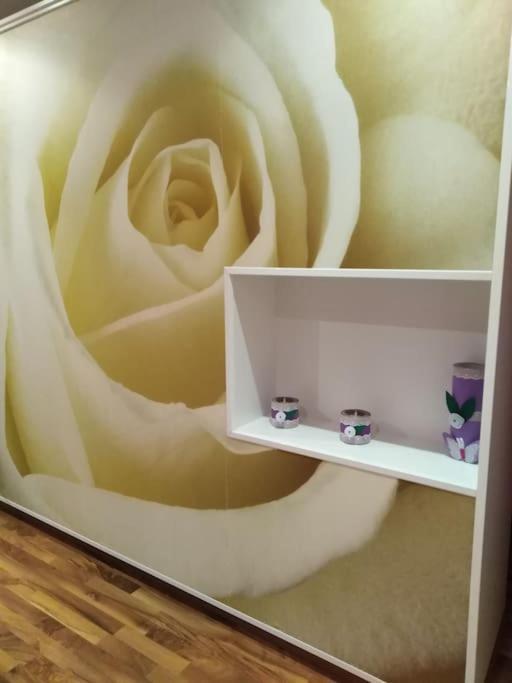 Casa Remei 알카나 외부 사진